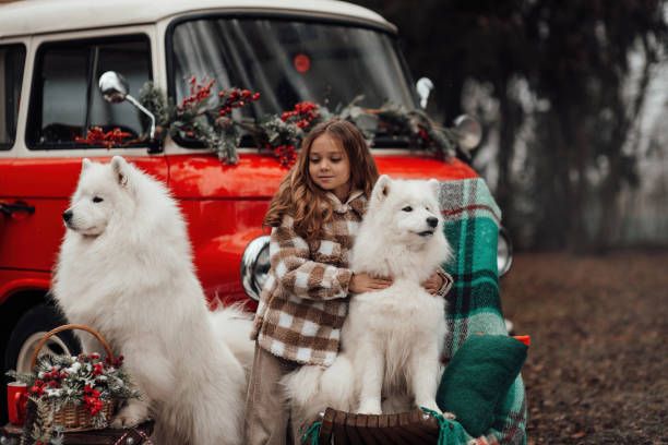 🎄✨ Step Back in Time at the TradeFirst Holiday Expo! ✨🎄

Join us for a nostalgic holiday experience at the TradeFirst Holiday Expo on Wednesday, November 13, from 4pm to 8pm at the Oakland Expo Center, 2212 Mall Dr, Waterford.

Featured Companies and Products:
 •  Fix My Feet: Explore shoe orthotics.
 •  For Feets Sake: Check out their range of shoes.
 •  Forever Summer: Discover natural soaps, bath bombs, and bath products. Win one of three $15 gift certificates!
 •  Forgotten Harvest: Learn about their charity materials and win a Forgotten Harvest t-shirt and hat.
 •  FOY: Shop for skin care, makeup, and Latisse. Win a basket of skin care products!
 •  PLUS, 75 MORE Awesome Vendor Booths!!!

Why Attend?
🍽️ Complimentary Small Plates and Drinks!
🤝 Promote Your Business!
📅 Plan Your 2025 Advertising!
✈️ Book Winter and Spring Travel!
🎁 Stock Up on Gift Cards!
🛒 Shop TradeMART Treasures!
🆕 New and Favorite Vendors!

Let's make this holiday season one to remember by coming together to support local businesses and enjoy the festive spirit. We can't wait to see you there!

#TradeFirstHolidayExpo #ShopLocal #SupportSmallBusiness #HolidayShopping #NetworkingEvent