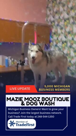 Best Detroit Groomer 👉Mazie Mooz Boutique & Dog Wash 112 E Main Street, Brighton (810) 291-0004