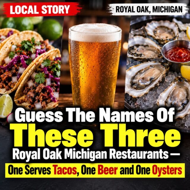 Guess The Names Of These Three Royal Oak Michigan Restaurants — One Serves Tacos, One Beer and One Oysters
READ MORE IN THE COMMENTS ⤵️

#beer #tacos #oysters